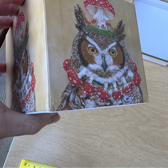 PaperProducts Design Vicki Sawyer Pageant Queen Owl and Mushroom Mug w/ Box - Picture 12 of 13